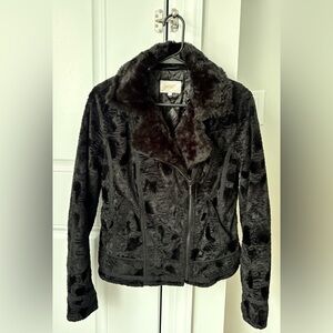 Laundry By Shelli Segal Women's Dark Brown Teddy Jacket